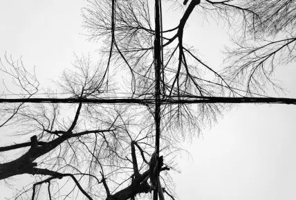 Crystal Casino Mobiele App